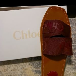 Chloe slides